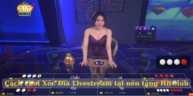 Xóc Đĩa Livestream HitClub mà cược thủ không nên bỏ qua Cách chơi Xóc Đĩa Livestream tại nền tảng HitClub